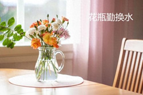 防蚊布蚊帐十大品牌排行榜(2016蚊帐十大品牌)插图3