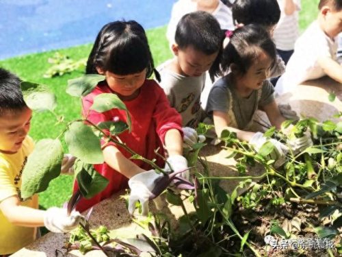 嘉兴余杭幼儿园排名前十(杭州余杭幼儿园十强排名)插图10