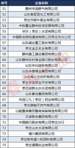 山东聊城水泥厂家排名前十(聊城佳鑫水泥)插图5