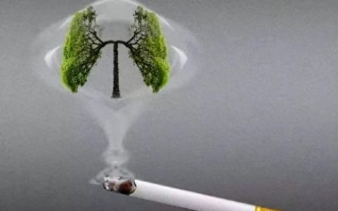 薄荷烟十大品牌排行榜图片(薄荷烟价格表大全)