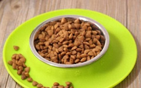 十大狗粮品牌排行榜口碑(狗粮品牌十大排名榜有哪些)