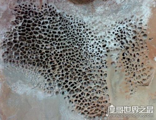 密集恐惧症大揭秘(密集恐惧症普遍么)插图8