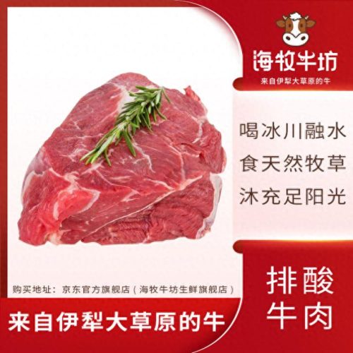 中国十大鲜牛肉品牌排行榜(中国十大牛肉品牌)插图1