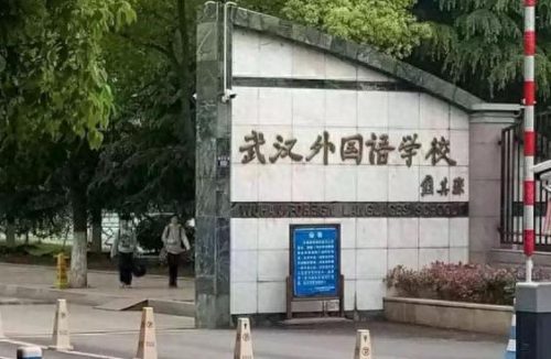 武汉湖北省高中排名前十(湖北最厉害的高中)插图1