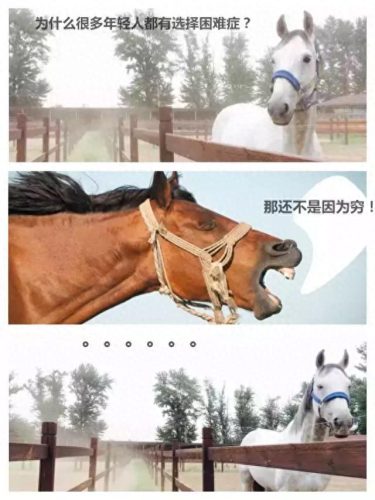 辩论赛中噎死对方的话(一句噎死对方的神回复)插图8