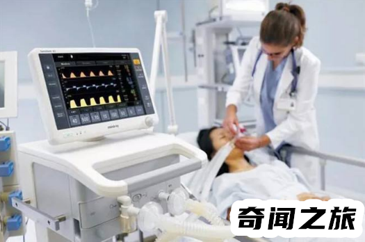 最常见的4000多一个(最常见的东西100个)插图