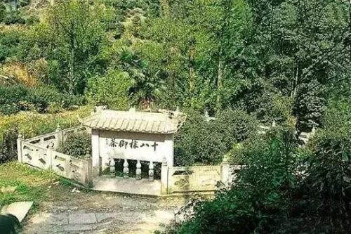 十大国内最贵香烟排行榜(中国最贵十种香烟排行)插图62