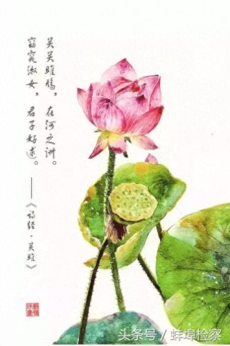 诗经篇目十大排行榜(诗经中描写农业的篇目)插图2