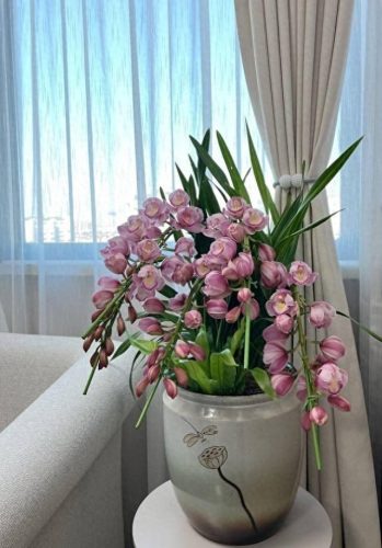 花草盆栽十大排行榜(最流行的十种盆栽)插图29