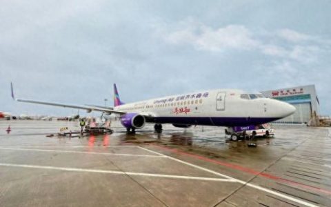 乌鲁木齐航空客机排名前十(乌鲁木齐航空目前一共有几架飞机)