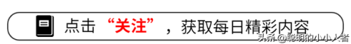 新综艺节目排名前十(好看的综艺节目排名)插图