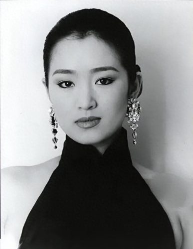 中国女明星十大鼻子排行榜(中国鼻子最美的十大女星)插图21