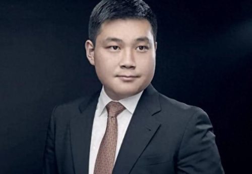 南京十大企业家排行榜(南京十大软件公司排名)插图11