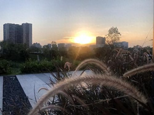 十大经典现代小说排行榜(50部巅峰玄幻小说)插图