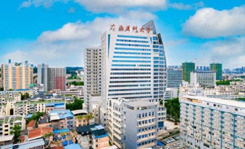 广西十大不好大学排行榜(广西有什么大学排名榜)插图7