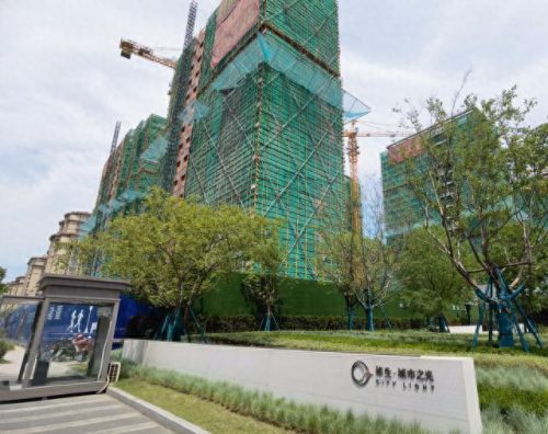 诸暨大富豪(钟睒睒诸暨庙坞村人)插图1