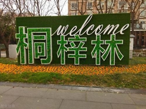 成都别墅十大排行榜图片(成都哪里别墅最好)插图4
