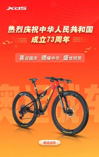 十大品牌自行车排行榜前十(十大顶级自行车排行榜)插图2