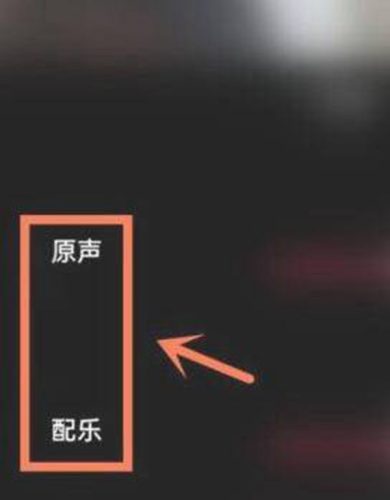 抖音合拍怎么加自己的声音(抖音合拍怎么加上自己的声音)插图5