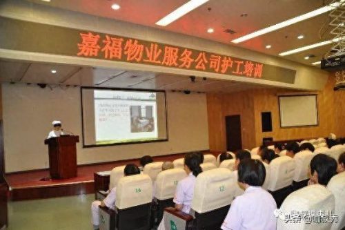石家庄护工企业排名前十(保定市有多少护工公司)插图4