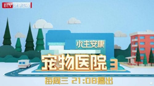 宠物第三季排名前十(宠物09年第三季)插图1