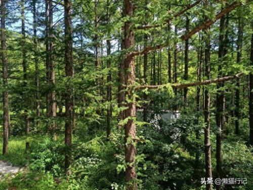 北京十大山峰海拔排行榜(中国所有山峰海拔排名)插图4