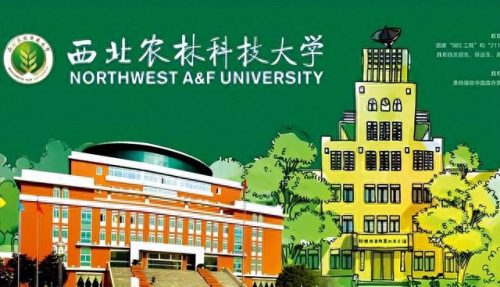 教育类十大高校排行榜北京(北京排名前五所高校)插图4