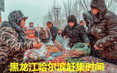 哈尔滨十大集市排行榜图片(吉林十大集市排名)