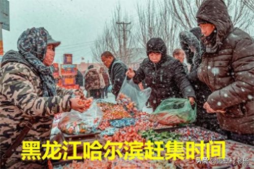 哈尔滨十大集市排行榜图片(吉林十大集市排名)插图