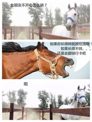 辩论赛中噎死对方的话(一句噎死对方的神回复)插图3