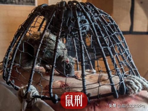 世界上十大酷刑排行榜前十(全球十大酷刑排行榜)插图4