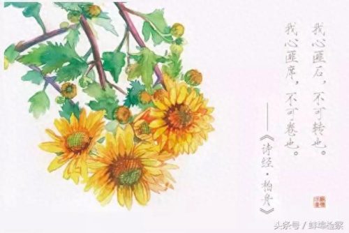 诗经篇目十大排行榜(诗经中描写农业的篇目)插图4