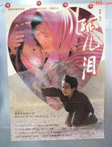 十大经典催泪电影排行榜(十部顶级飙泪电影)插图6