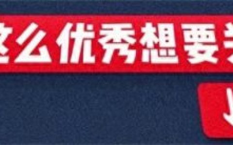 山东进口软件排名前十(山东十大软件排名)