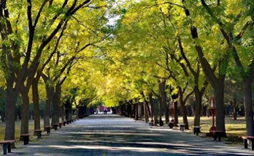 北京最好玩的地方(北京好玩的地方)插图24