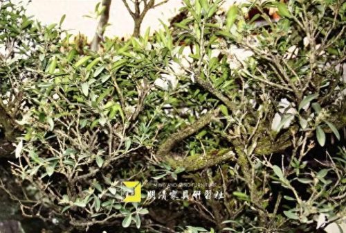 酉阳正规大件搬运排名前十(璧山靠谱的大件搬运公司)插图1