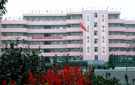 大理南涧县中学排名前十(大理南涧中学十强排名)插图7