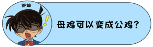 十大品牌安全裤排行榜女士(女生安全裤品牌推荐)插图11