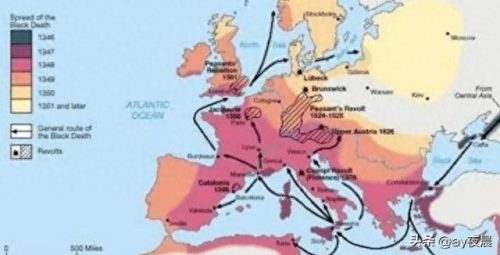 全球十大地震事件排行榜(地震前的十大预兆)插图1