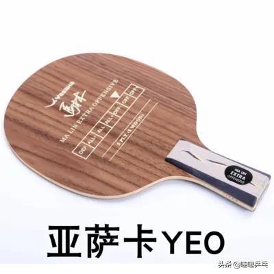 中国乒乓排名前十的球拍(中国乒乓球拍十大名牌排名)插图2