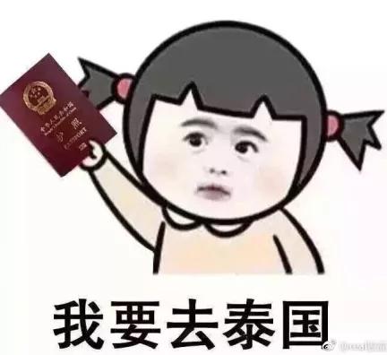 十大品牌安全裤排行榜女士(女生安全裤品牌推荐)插图16