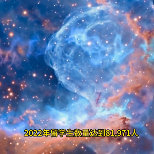 十大英语专业排行榜(英语跨专业考研最容易成功的专业)插图4
