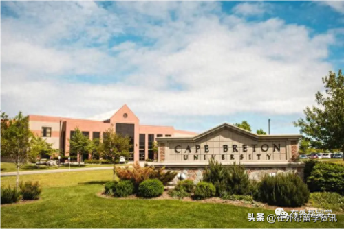 加拿大留学规划书排名前十(加拿大留学药品清单)插图11
