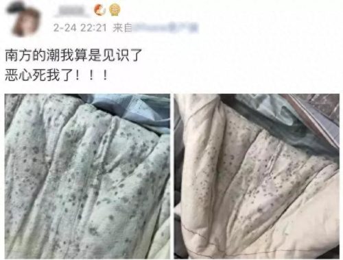 房间祛湿气十大排行榜(女性祛湿气最快的方法)插图6