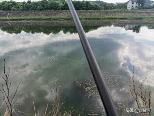 传统钓法十大排行榜(谷麦钓法的十大禁忌)插图4