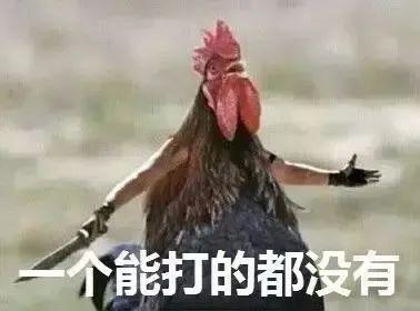 十大品牌安全裤排行榜女士(女生安全裤品牌推荐)插图14