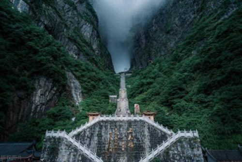 世界最美森林公园排名前十(十大森林公园排行榜)插图3