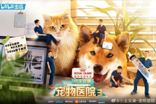 宠物第三季排名前十(宠物09年第三季)插图12