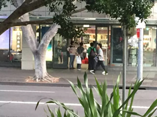 澳洲十大免税店品牌排行榜(澳大利亚免税店价格表)插图3