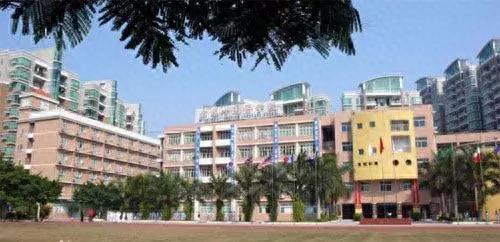 东莞龙岗的小学排名前十(凤岗的小学排名一览表)插图26